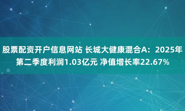 股票配资开户信息网站 长城大健康混合A：2025年第二季度利润1.03亿元 净值增长率22.67%
