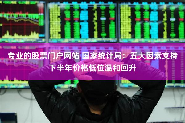 专业的股票门户网站 国家统计局：五大因素支持下半年价格低位温和回升