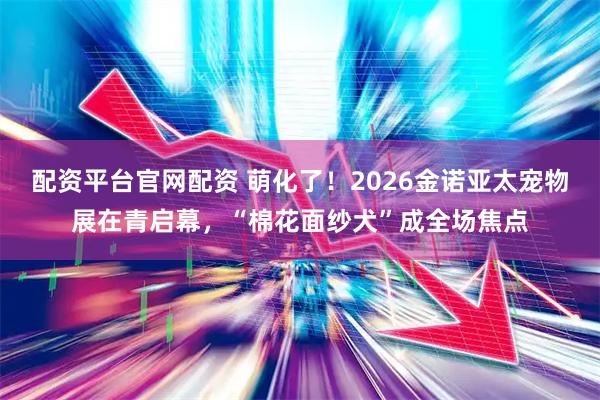 配资平台官网配资 萌化了！2026金诺亚太宠物展在青启幕，“棉花面纱犬”成全场焦点