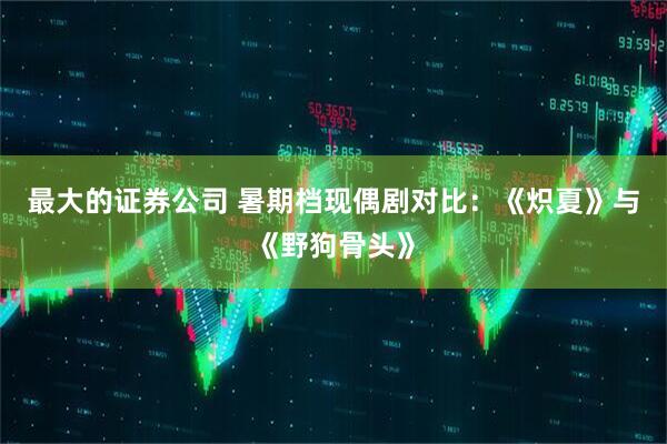最大的证券公司 暑期档现偶剧对比：《炽夏》与《野狗骨头》